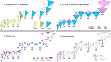 Kite Families: An investigation of Family Tree