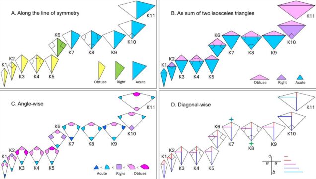 Kite Families: An investigation of Family Tree
