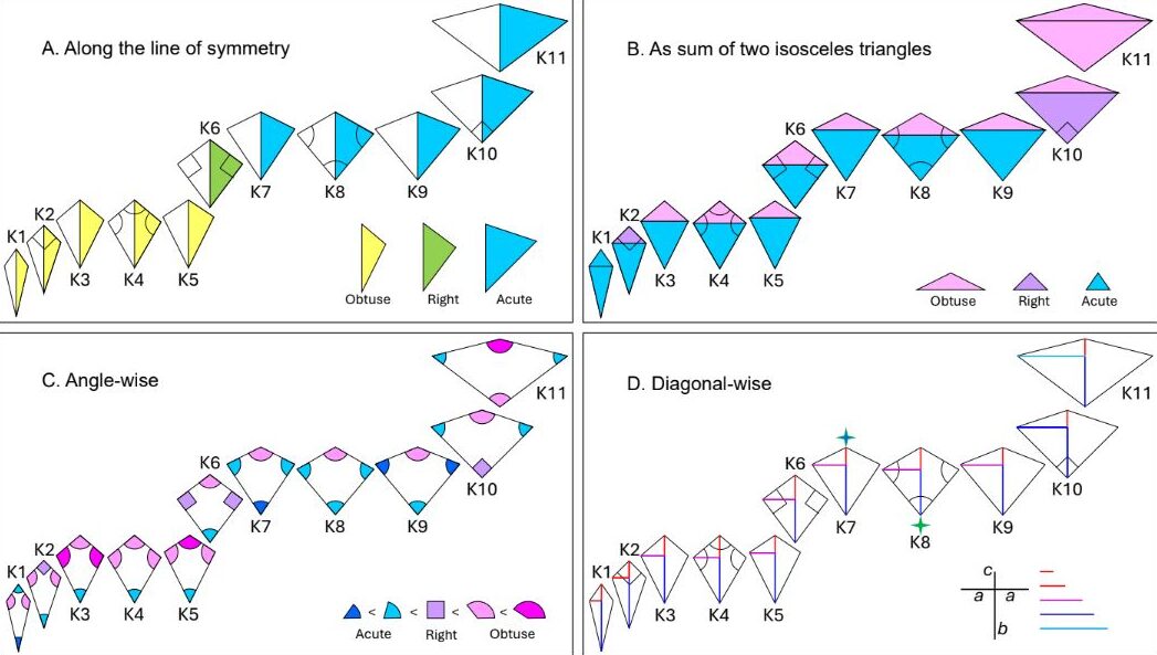 Kite Families: An investigation of Family Tree