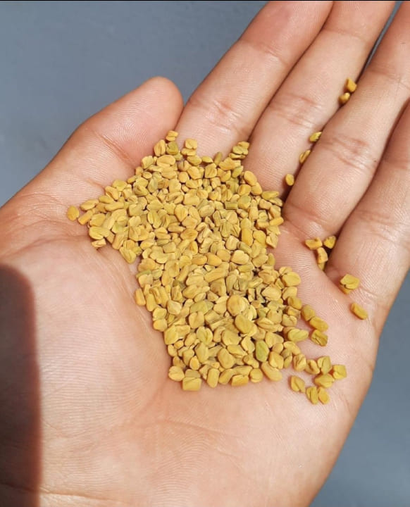 ಕ್ರಮವಿಧಿ F4