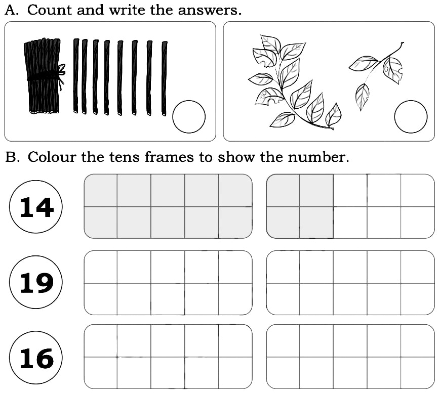 count-and-write-the-answers
