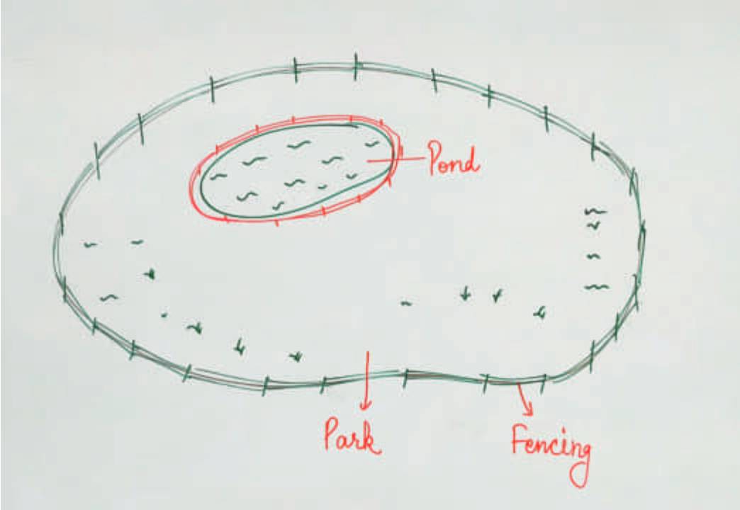 Charting Shapes: A Fun Exploration of Perimeter and Area