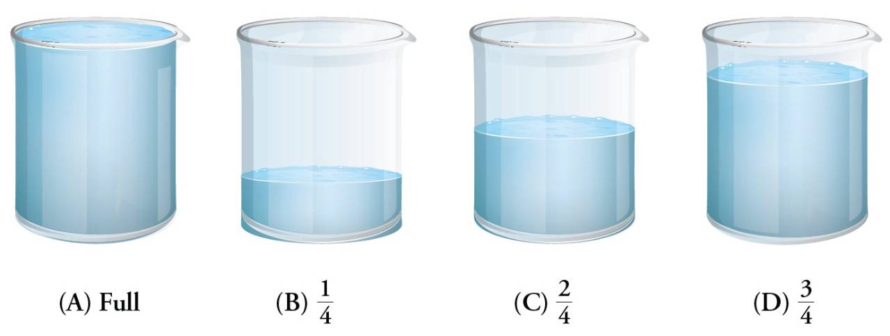 Interpreting Fractions