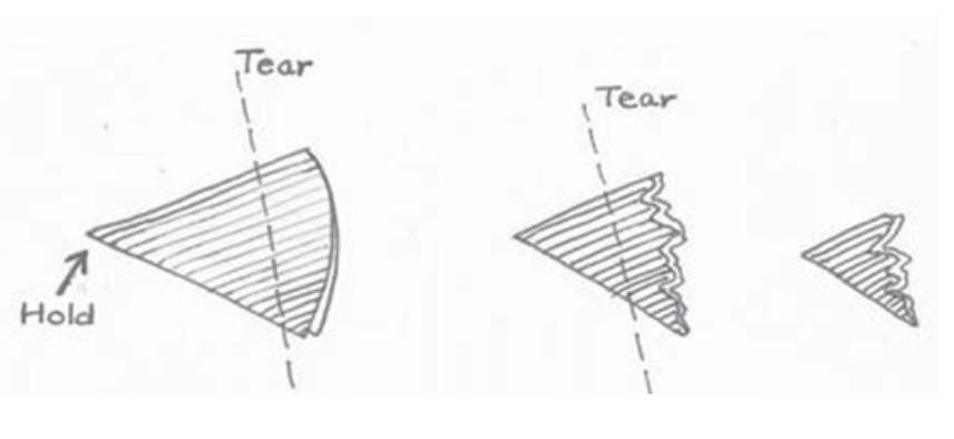 Viewpoints Angles fig 3