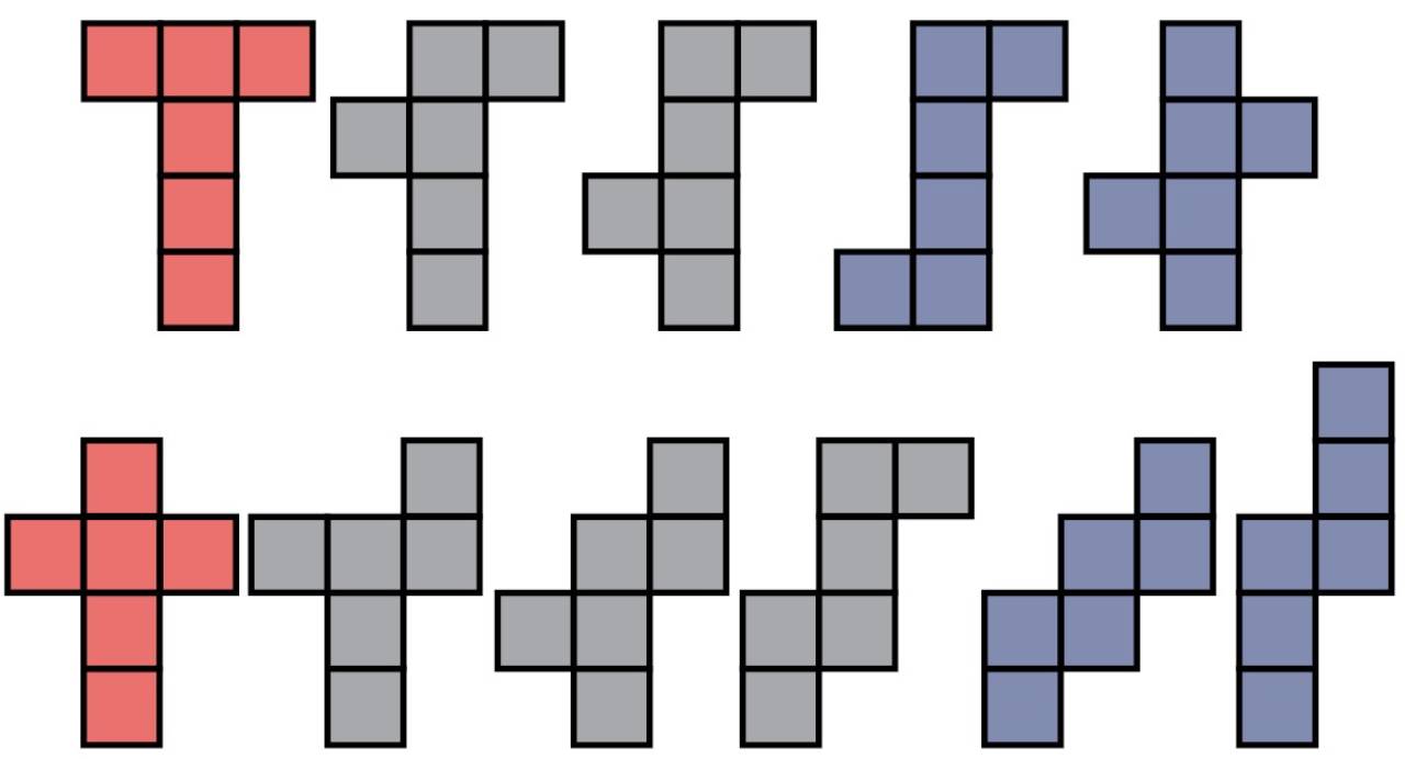 Exploring Polyominoes and Nets of a Cube: A Classroom Reflection with Class 4 Students